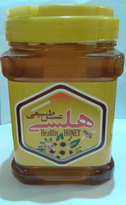 عسل گیاهی هلسی HEALTHY  (سلامت) با کیفیت تضمین شده