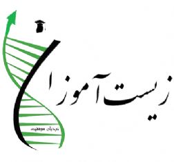 آیا می خواهید رایگان بیاموزید؟ ثبت نام کنید