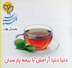 نمایندگی بیمه پارسیان