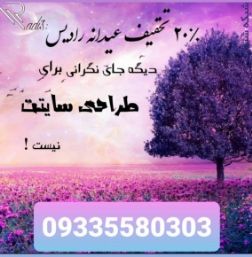 تخفیف عیدانه طراحی سایت رادیس افزار